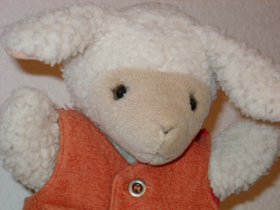 bild3
